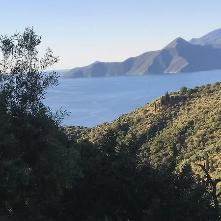 The Donkey House, Pragmatefti Leonidio