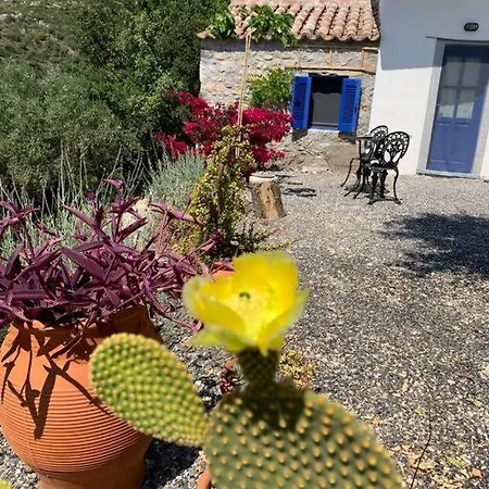 The Donkey House, Pragmatefti Holiday home