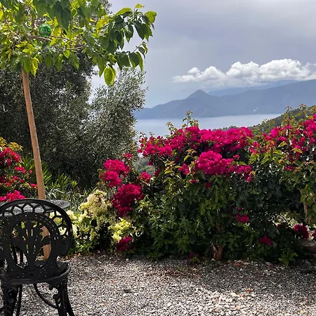 The Donkey House, Pragmatefti