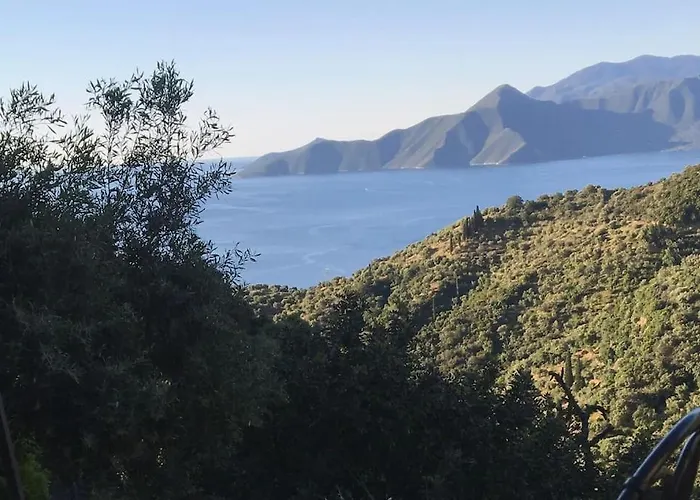 The Donkey House, Pragmatefti Leonídion