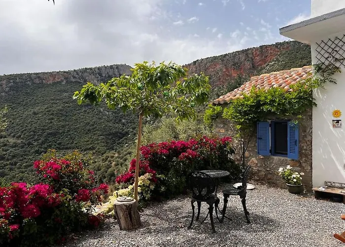 The Donkey House, Pragmatefti *