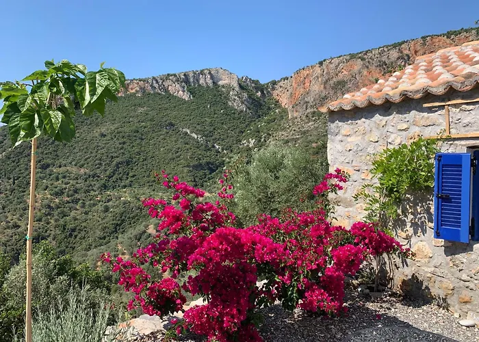 The Donkey House, Pragmatefti Leonídion