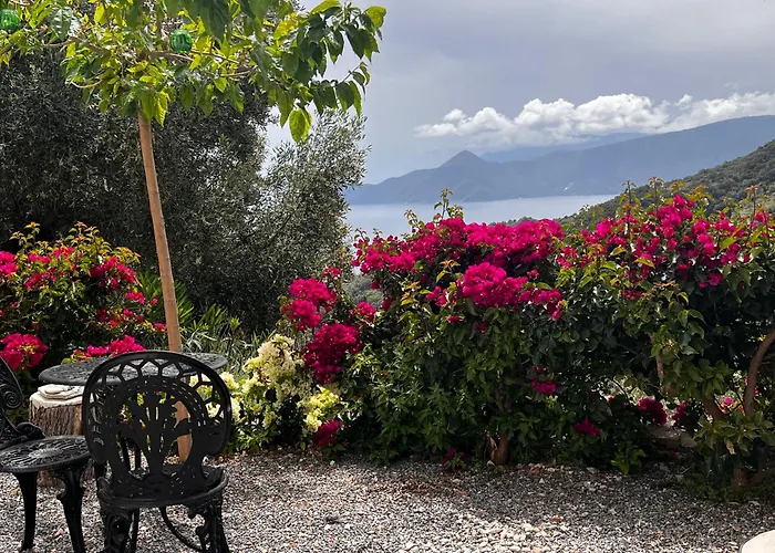 The Donkey House, Pragmatefti